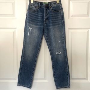 NWT Sandrine Rose x Free People High Rise Lightly Distressed Jeans